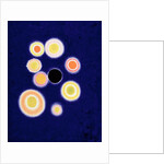 The Black Hole by Izabella Godlewska de Aranda