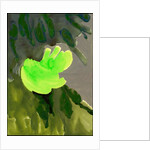 Kensington Gardens Series: Leaf Cascade, 2007 by Izabella Godlewska de Aranda