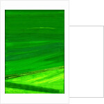 Kensington Gardens Series: My World of Green 4 by Izabella Godlewska de Aranda