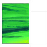 Kensington Gardens Series: My World of Green 2 by Izabella Godlewska de Aranda