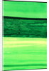 Kensington Gardens Series: My World of Green 1 by Izabella Godlewska de Aranda
