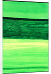 Kensington Gardens Series: My World of Green 1 by Izabella Godlewska de Aranda