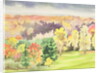 No.64 Autumn, Beaufays, Liege, Belgium by Izabella Godlewska de Aranda