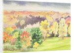 No.64 Autumn, Beaufays, Liege, Belgium by Izabella Godlewska de Aranda