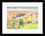 No.64 Autumn, Beaufays, Liege, Belgium by Izabella Godlewska de Aranda