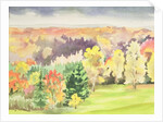No.64 Autumn, Beaufays, Liege, Belgium by Izabella Godlewska de Aranda