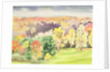 No.64 Autumn, Beaufays, Liege, Belgium by Izabella Godlewska de Aranda