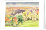 No.64 Autumn, Beaufays, Liege, Belgium by Izabella Godlewska de Aranda