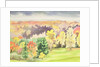 No.64 Autumn, Beaufays, Liege, Belgium by Izabella Godlewska de Aranda