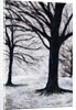 Winter Trees, Greenwich Park, 2004 by Ellen Golla