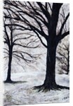 Winter Trees, Greenwich Park, 2004 by Ellen Golla