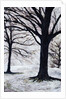 Winter Trees, Greenwich Park, 2004 by Ellen Golla