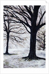 Winter Trees, Greenwich Park, 2004 by Ellen Golla