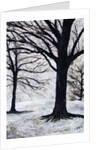 Winter Trees, Greenwich Park, 2004 by Ellen Golla