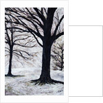 Winter Trees, Greenwich Park, 2004 by Ellen Golla