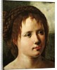Head of a Girl, 1530/35 by Jan van Scorel