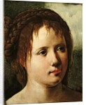 Head of a Girl, 1530/35 by Jan van Scorel