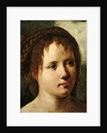 Head of a Girl, 1530/35 by Jan van Scorel