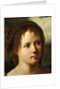Head of a Girl, 1530/35 by Jan van Scorel