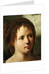 Head of a Girl, 1530/35 by Jan van Scorel