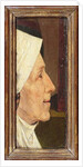 Head of an Old Woman by Hieronymus Bosch