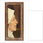Head of an Old Woman by Hieronymus Bosch