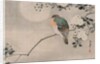 Japanese Silk Painting of a Wood Pigeon, 1800-1899 by Japanese School