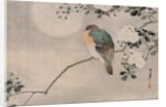 Japanese Silk Painting of a Wood Pigeon, 1800-1899 by Japanese School