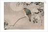 Japanese Silk Painting of a Wood Pigeon, 1800-1899 by Japanese School