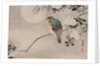 Japanese Silk Painting of a Wood Pigeon, 1800-1899 by Japanese School