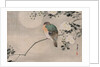 Japanese Silk Painting of a Wood Pigeon, 1800-1899 by Japanese School