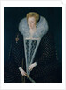 Queen Elizabeth I by Nicholas Hilliard