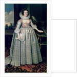 The Countess of Sussex by Paul van Somer