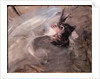 Half Length of Young Woman lying down, 1901 by Giovanni Boldini