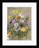 Summer Flowers by John Gubbins