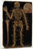 Ms Hunter 364 Table VI Dissection, from Anatomical Tables, by John Banister by English School