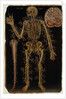 Ms Hunter 364 Table VI Dissection, from Anatomical Tables, by John Banister by English School