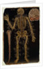 Ms Hunter 364 Table VI Dissection, from Anatomical Tables, by John Banister by English School