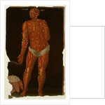 Ms Hunter 364 Table XI Dissection by English School