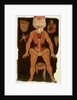Ms Hunter 364 Table XII Dissection from Anatomical Tables, by John Banister by English School