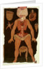 Ms Hunter 364 Table XII Dissection from Anatomical Tables, by John Banister by English School
