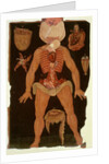 Ms Hunter 364 Table XII Dissection from Anatomical Tables, by John Banister by English School