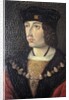 Indre & Loire N* 184 - Chateau de Loches - Portrait of Charles VIII by Anonymous