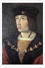 Indre & Loire N* 184 - Chateau de Loches - Portrait of Charles VIII by Anonymous