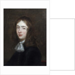 Portrait of a Youth by Gerard ter Borch or Terborch