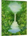 The Everlasting Rain Forest, 1997 by Hannibal Mane