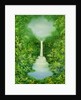 The Everlasting Rain Forest, 1997 by Hannibal Mane