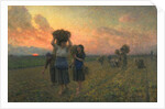 The Last Gleanings, 1895 by Jules Breton