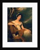 Hon. Emma Cunliffe, later Emma Cunliffe-Offley, c.1809-30 by Thomas Lawrence
