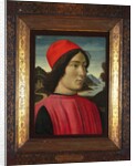 Portrait of a man, c.1490 by Domenico Ghirlandaio